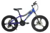 Bicicleta de 20 pulgadas lucky horse Application Scenario